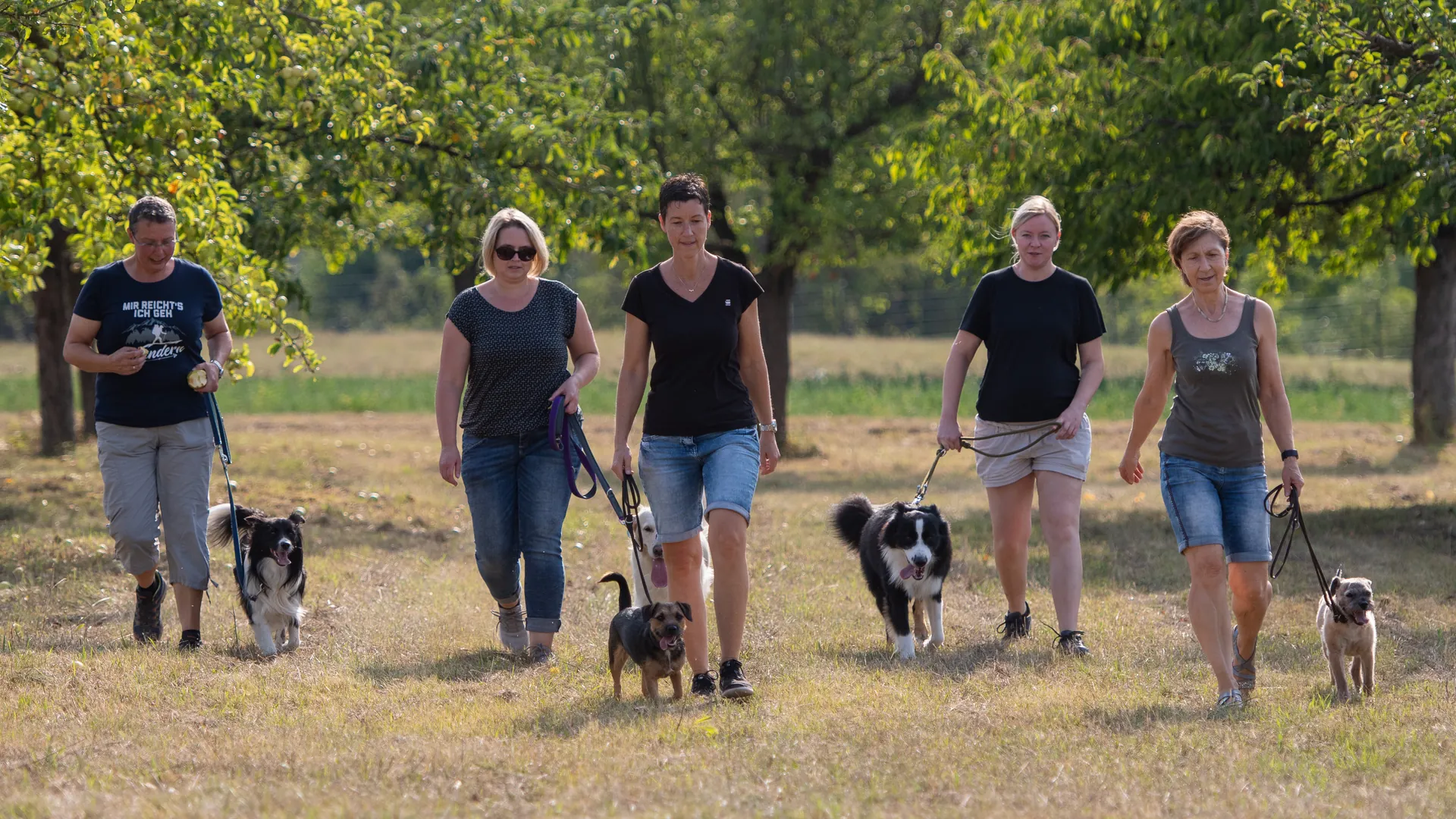Hundegruppe im Kursangebot